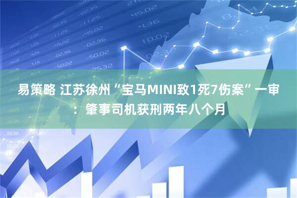 易策略 江苏徐州“宝马MINI致1死7伤案”一审：肇事司机获刑两年八个月
