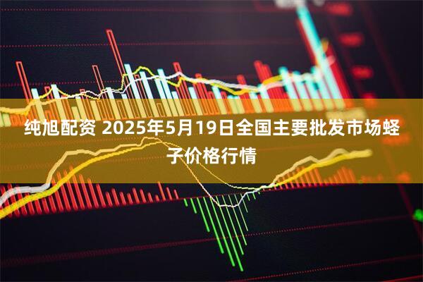 纯旭配资 2025年5月19日全国主要批发市场蛏子价格行情